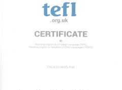 ארגון TEFL 2014